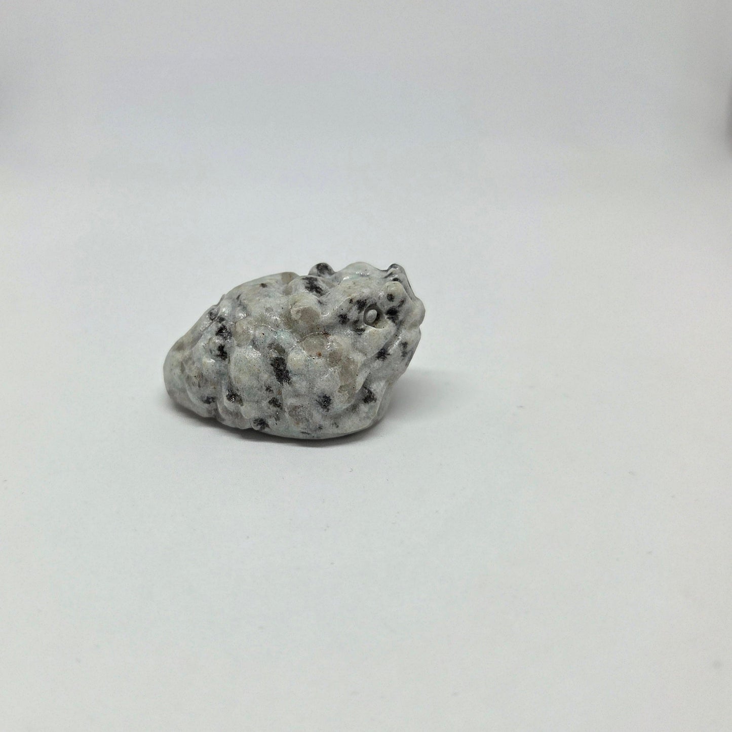 Dalmation Jasper Money Toad