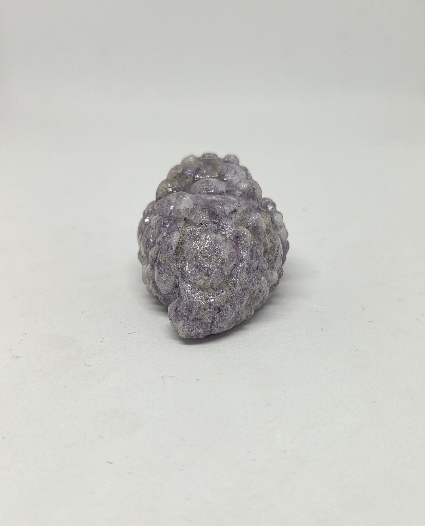 Dalmation Jasper Money Toad