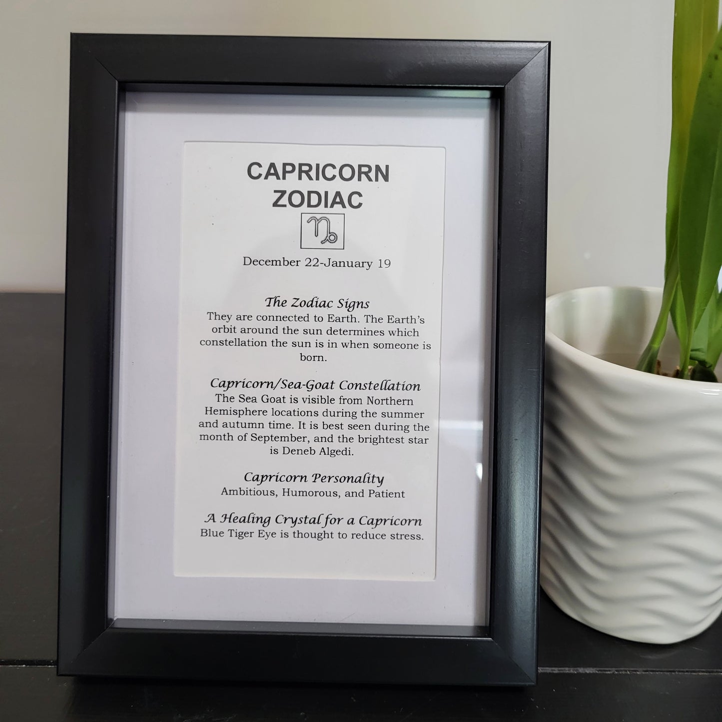 Capricorn ©