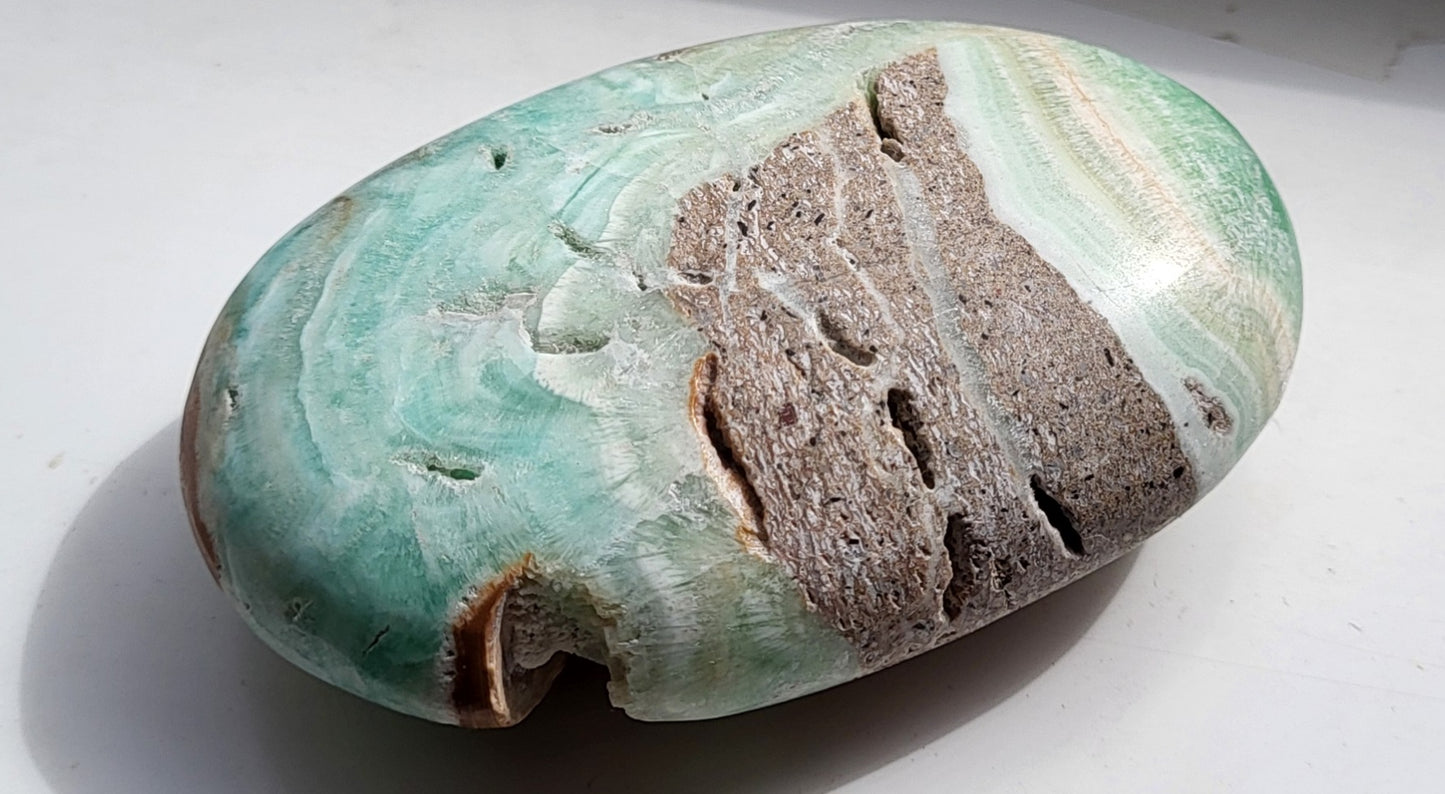 Carribean Calcite Palm Stone