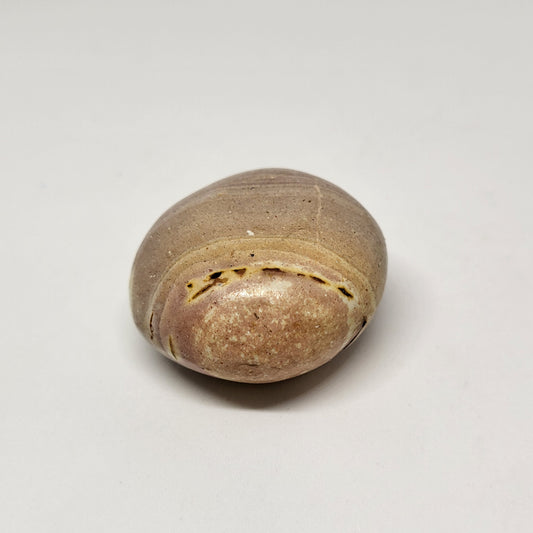 A Polychrome Jasper stone with a smooth, rounded shape and a mottled pattern of beige, gray, and hints of red.