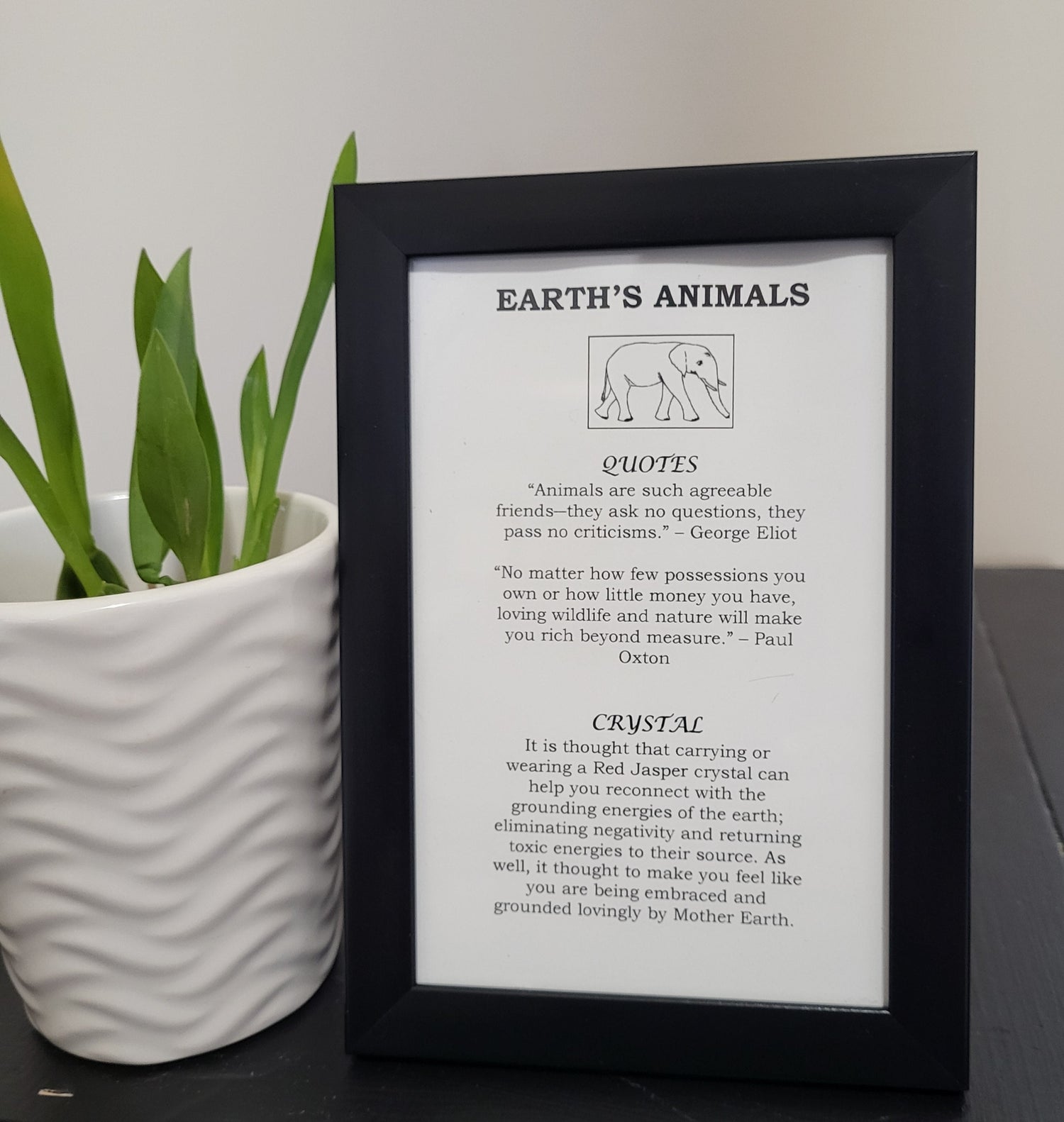 Animal Picture Frames