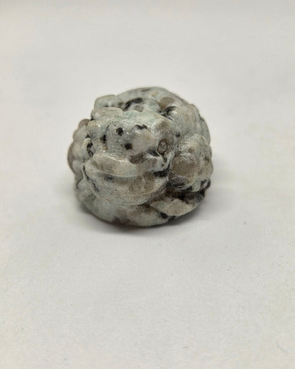 Dalmation Jasper Money Toad