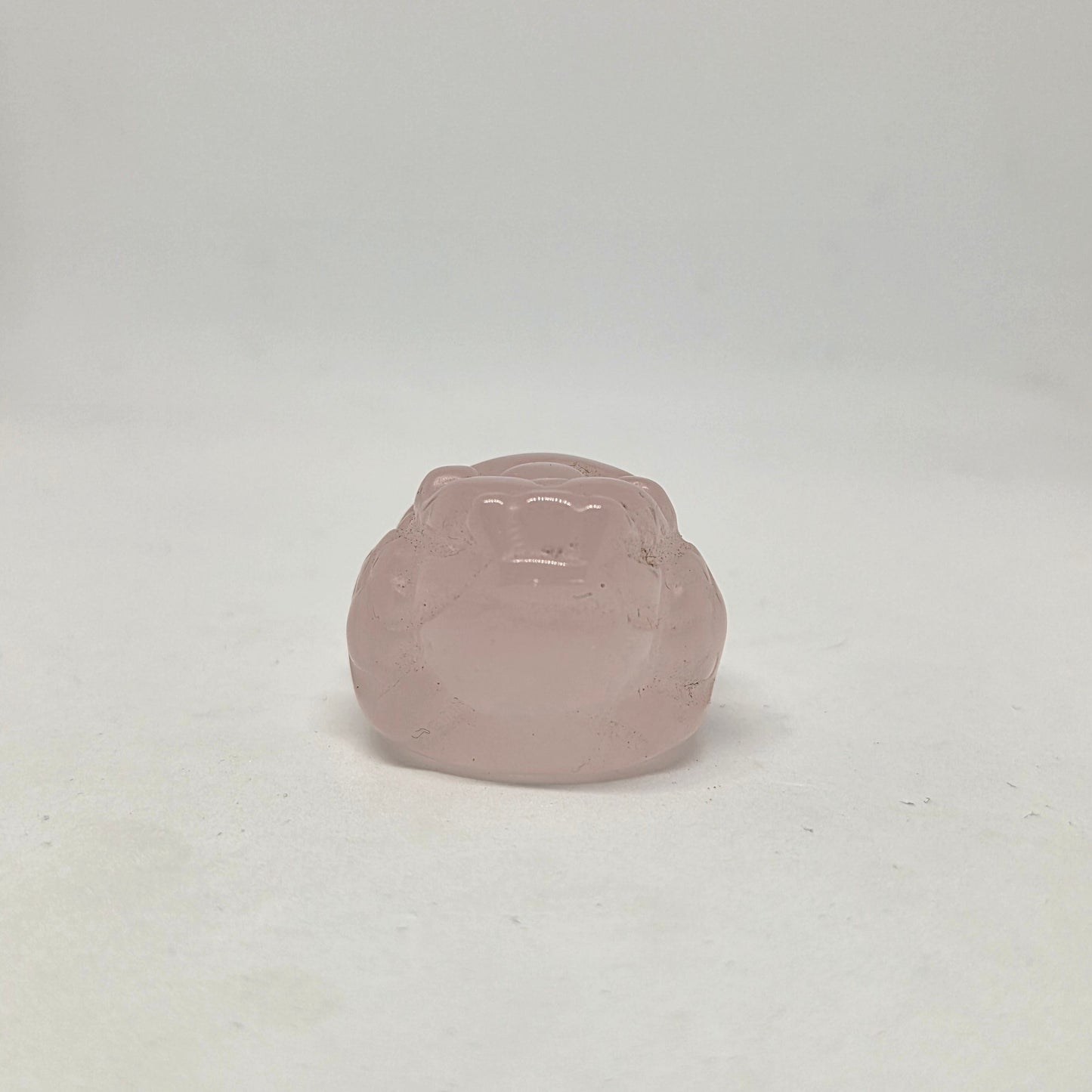 Rose Quartz Money Toad