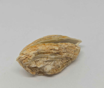 Brazilian Banded Geode Pair