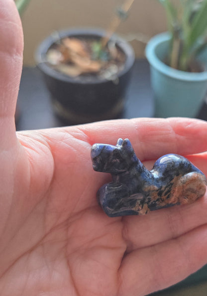 Mini Sodalite Dog