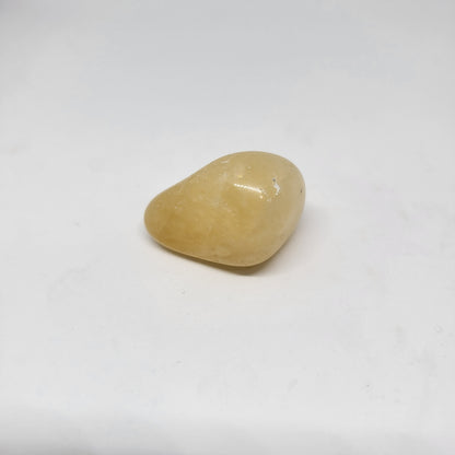 Solar Plexus ©