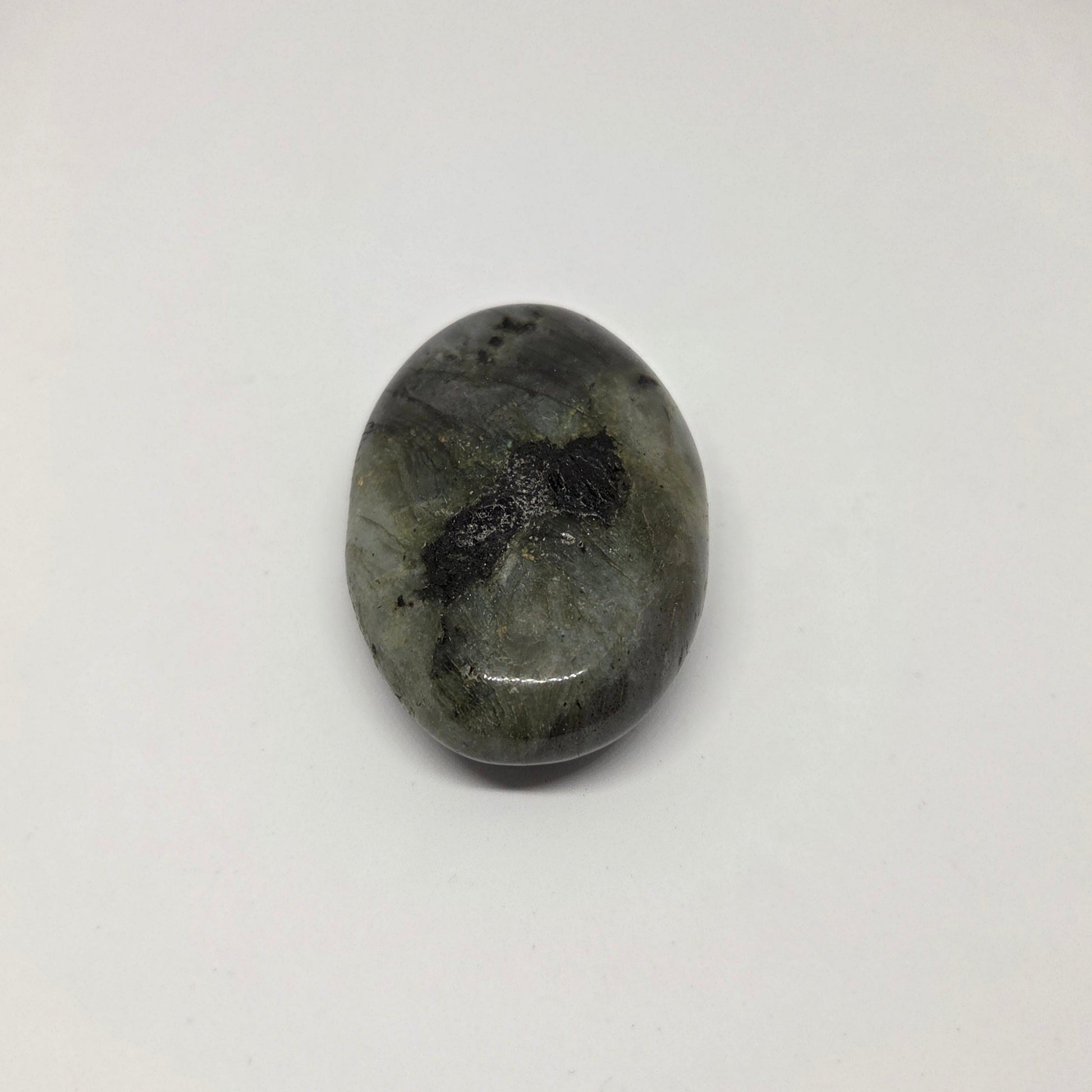 Oval-shaped stone with dark markings on a white background