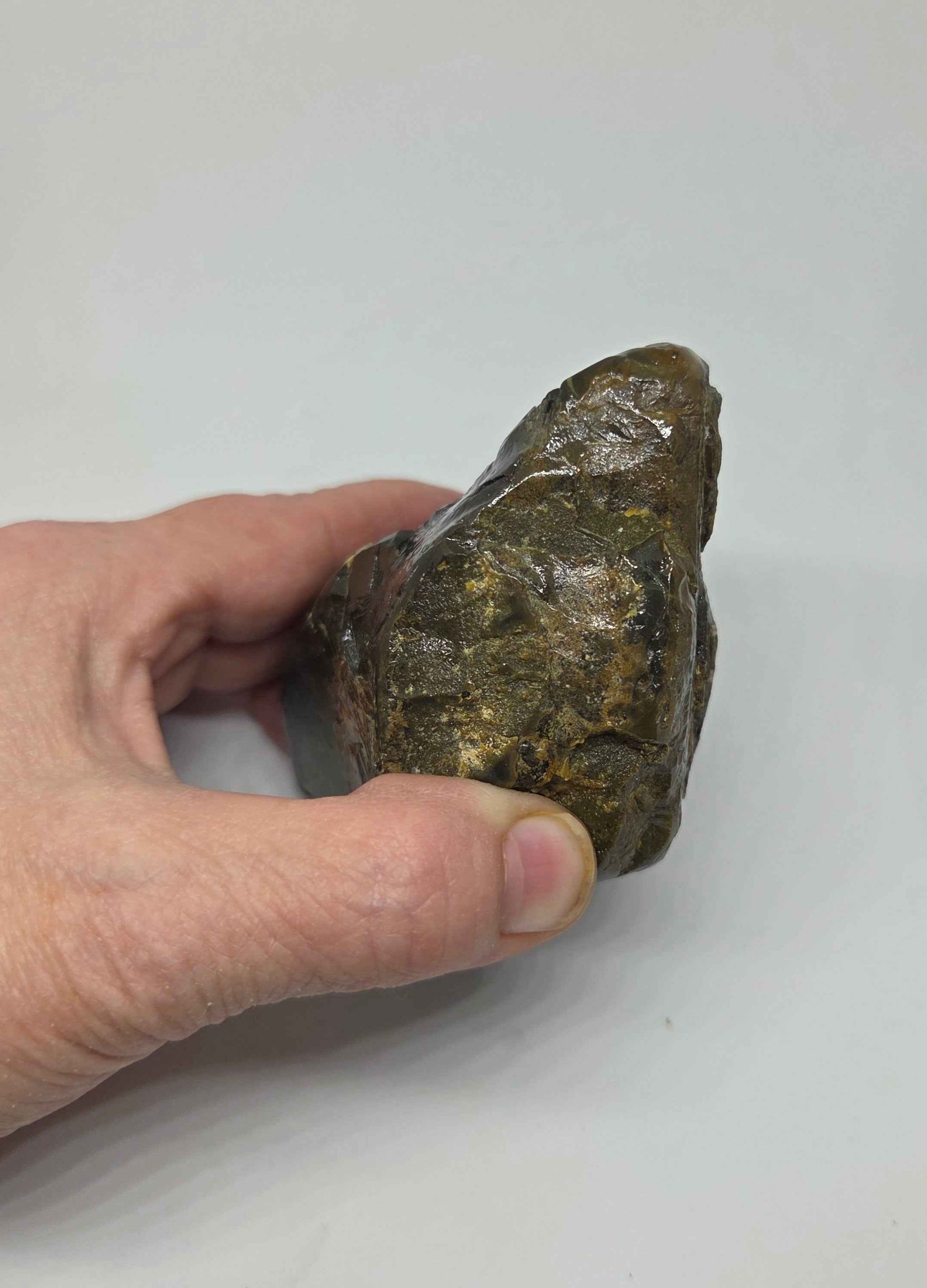 Alt Text: Large Ammolite Gemstone from Alberta 71 Million Years Old Fossil