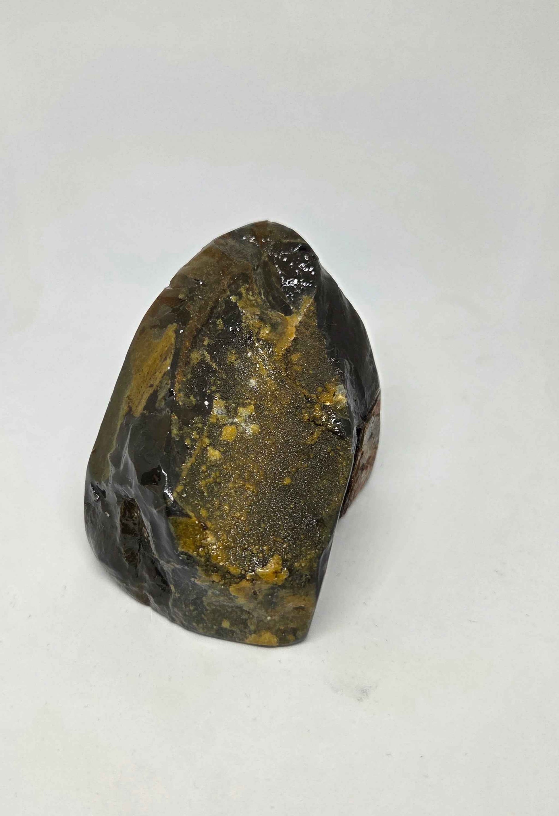 356g Polished Ammolite from Canadian Rockies for Prosperity and Vitality