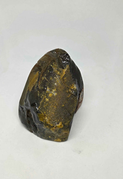 356g Polished Ammolite from Canadian Rockies for Prosperity and Vitality