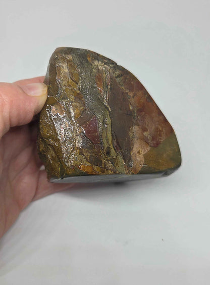  Polished Ammolite Specimen from Alberta for Wealth and Abundance 356g