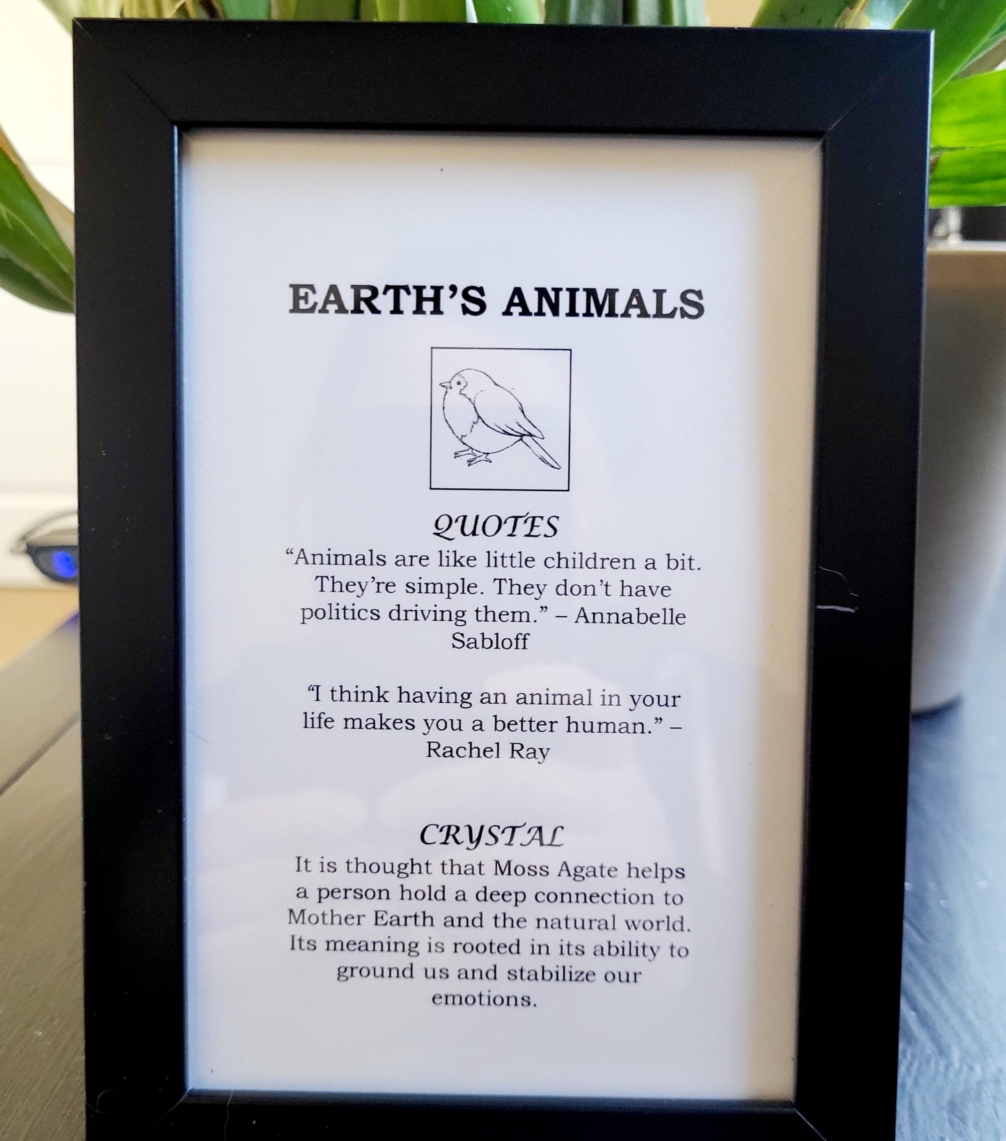 Birds Picture Frame for Nature Connection and Freedom Image