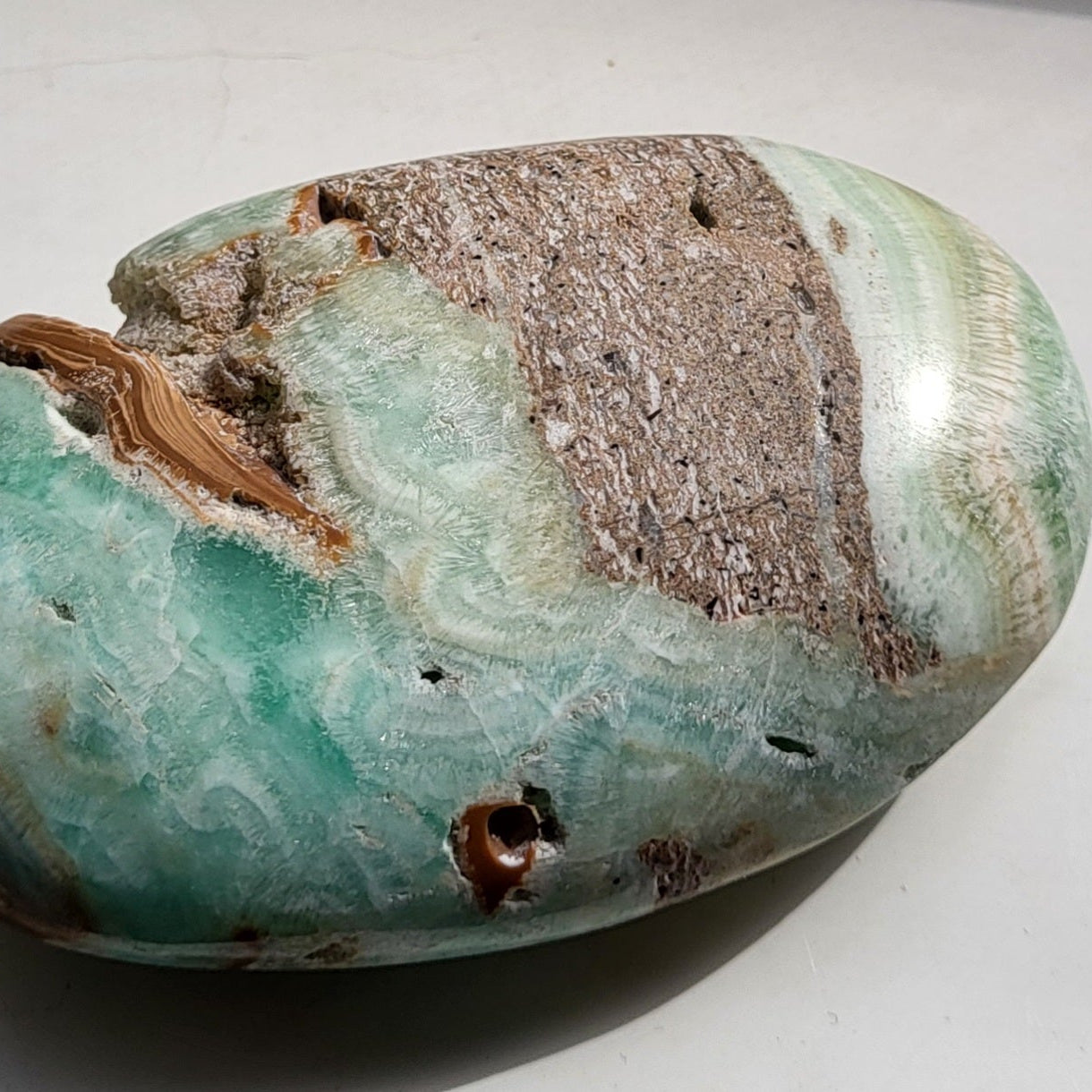 Caribbean Calcite Palm for Emotional Healing and Stress Relief