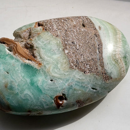 Caribbean Calcite Palm for Emotional Healing and Stress Relief