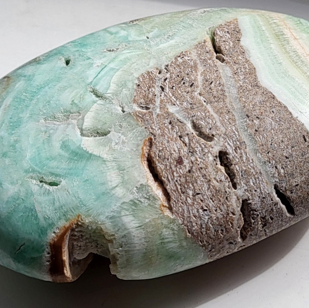 Caribbean Calcite Palm for Spiritual Awareness and Emotional Healing