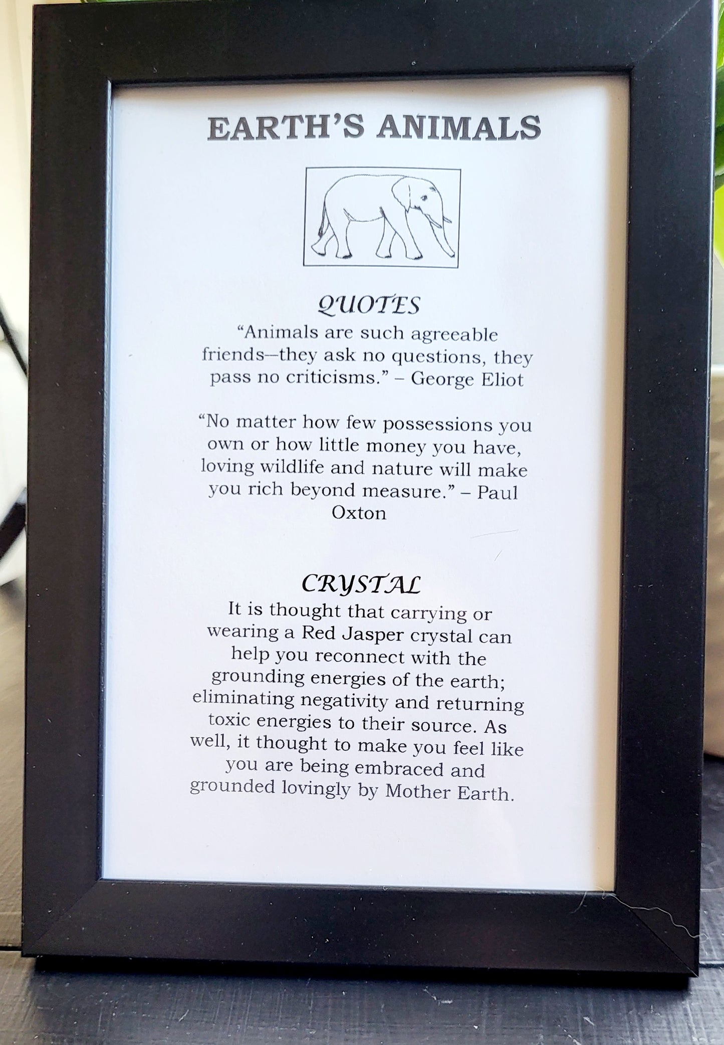 Feng Shui Elephant Frame with Red Jasper Crystal for Good Fortune