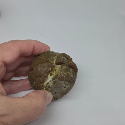 Natural Geode Halves Quartz Agate with Opal from Richardson Ranch