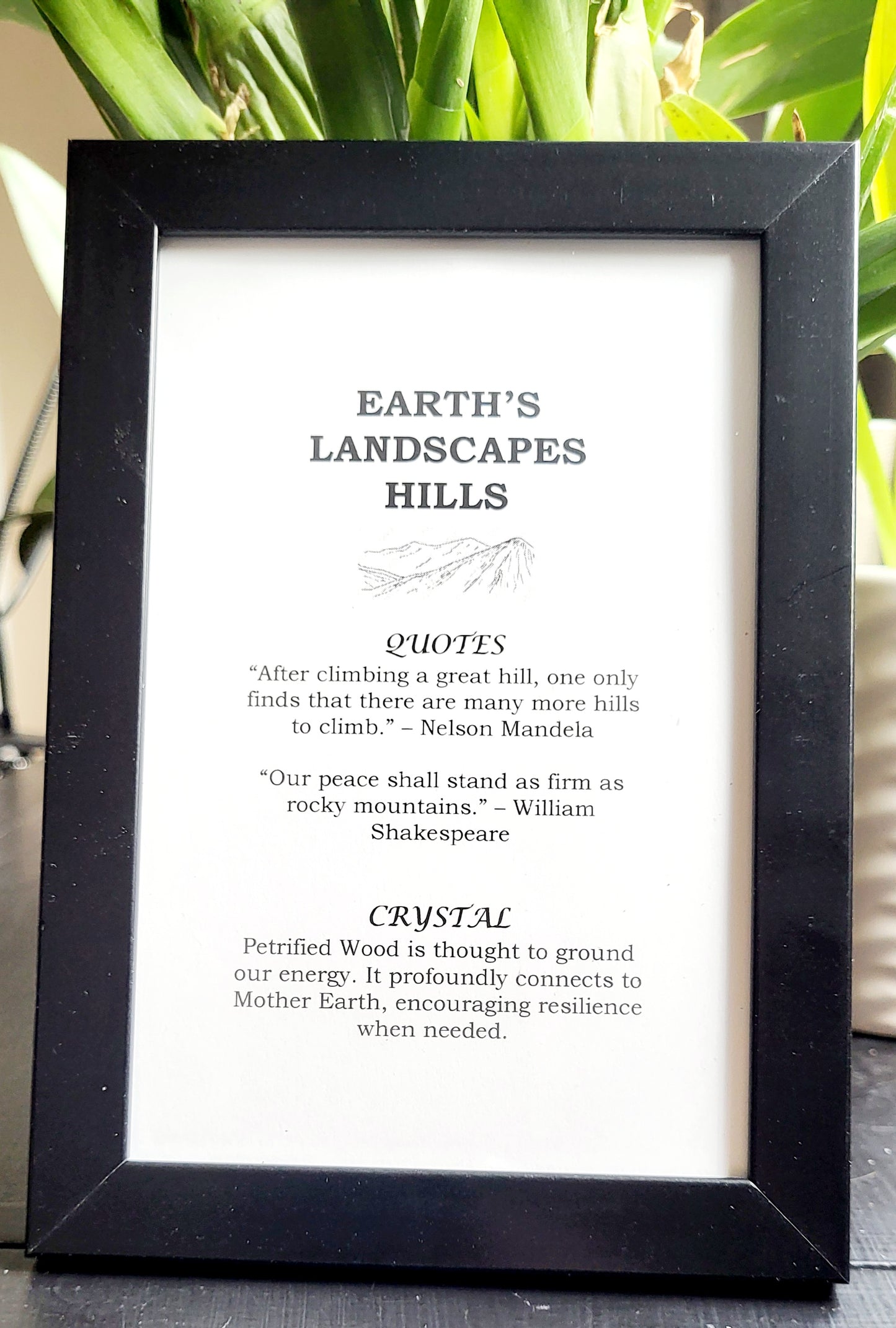 Hills Picture Frame with Petrified Wood for Grounding and Patience