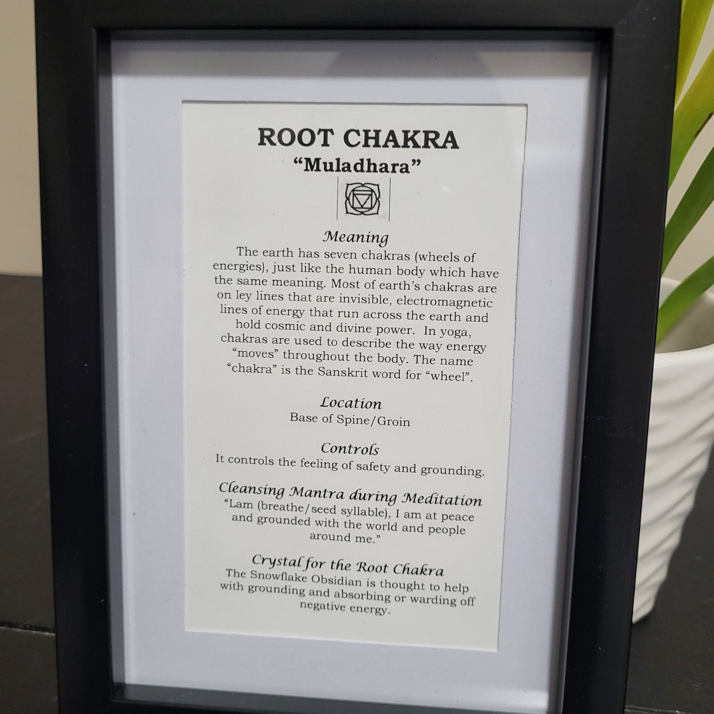 Root Chakra Educational Frame with Snowflake Obsidian for Grounding and Stability