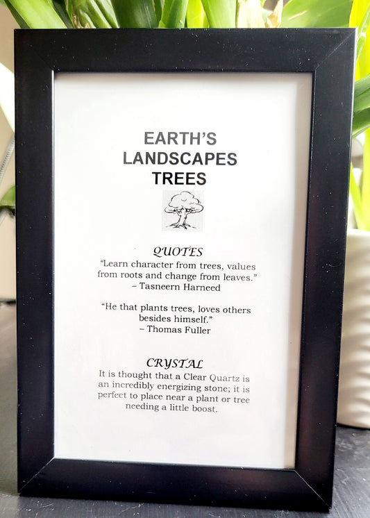 Trees Picture Frame with Clear Quartz for Clarity and Energy Amplification